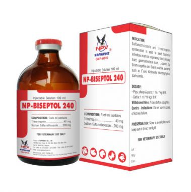 NP-BISEPTOL 240