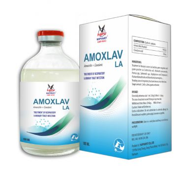 AMOXLAV LA