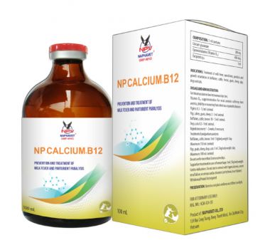 NP-CALCIUM + B12
