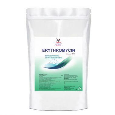ERYTHROMYCIN