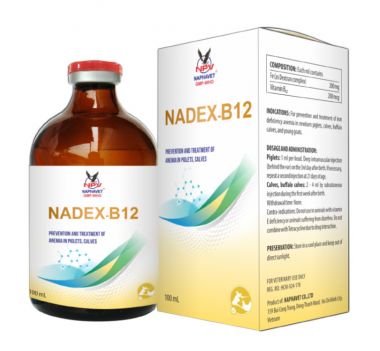 NADEX - B12