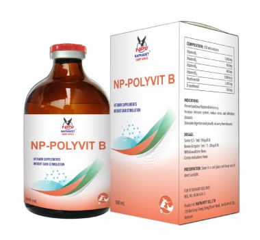 NP-POLYVIT-B