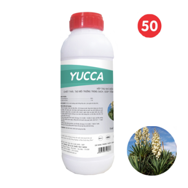 YUCCA (50%)