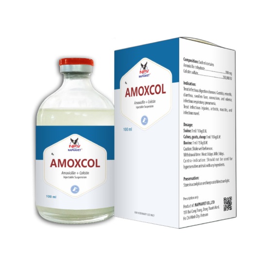 AMOXCOL