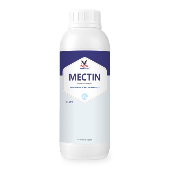 MECTIN