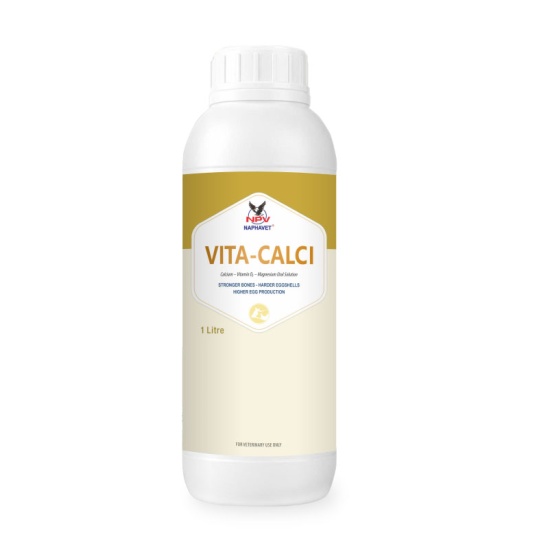 VITA-CALCI