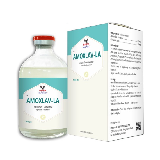 AMOXLAV LA