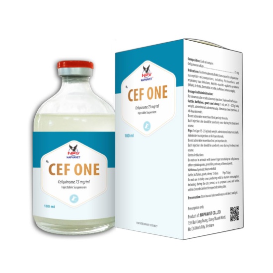 CEF ONE