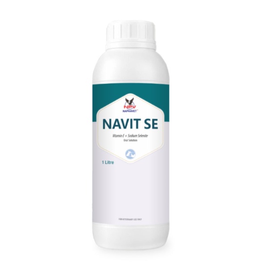 NAVIT SE