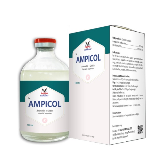 AMPICOL