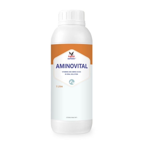 AMINOVITAL
