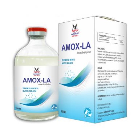 AMOX LA