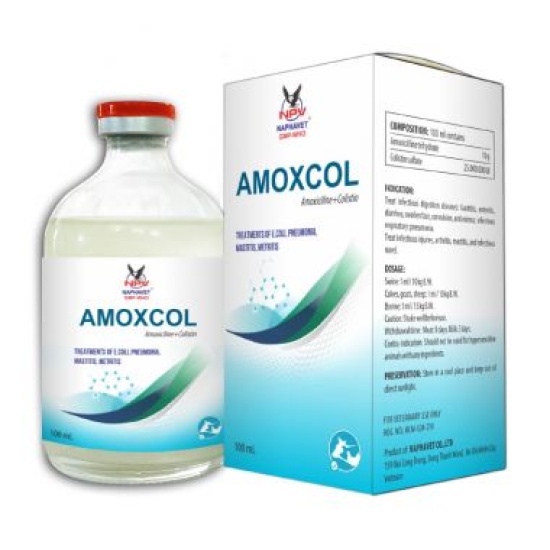 AMOXCOL