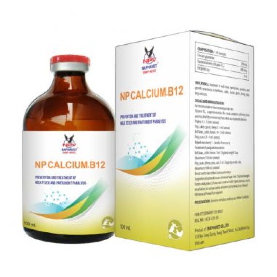 NP-CALCIUM + B12