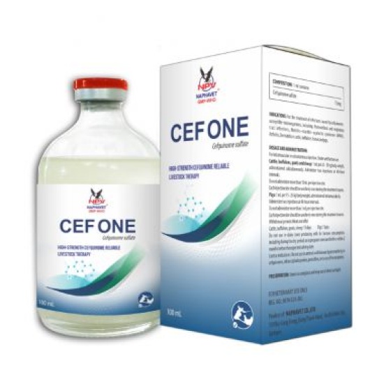 CEF-ONE
