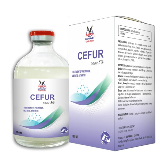 CEFUR-5%