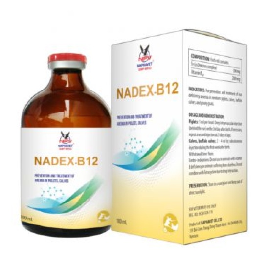 NADEX - B12