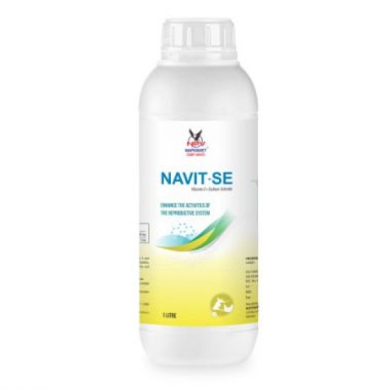 NAVIT SE