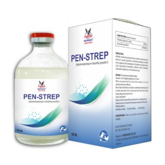 PENSTREP (20/20)
