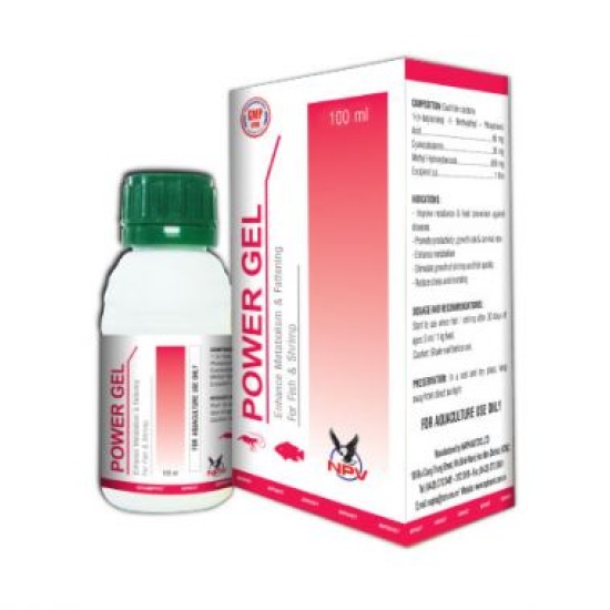 POWER GEL
