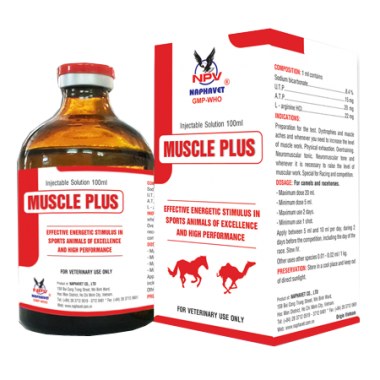MUSCLE PLUS
